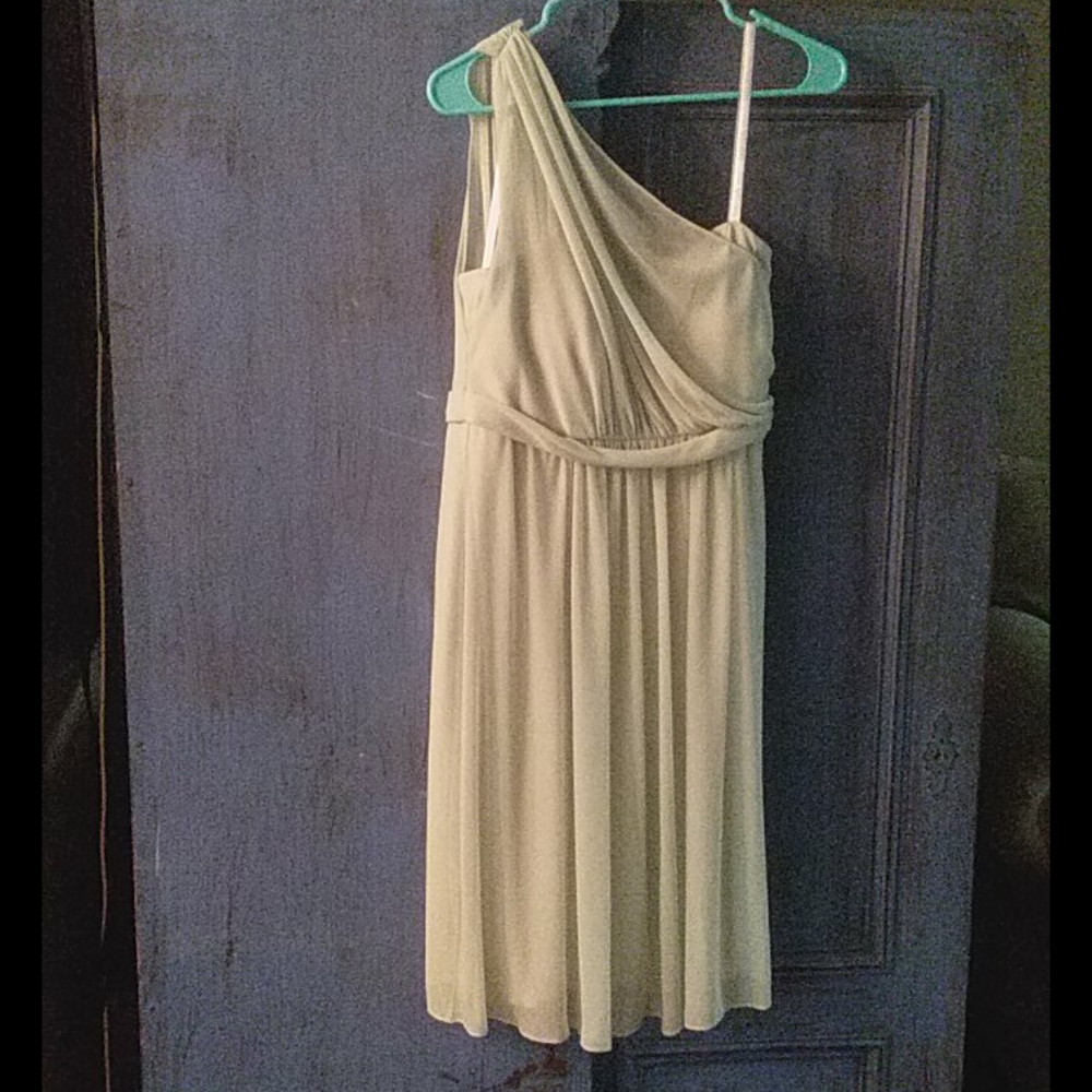 David 's Bridal Dress.